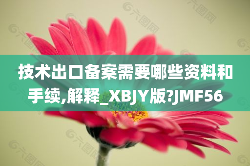 技术出口备案需要哪些资料和手续,解释_XBJY版?JMF56