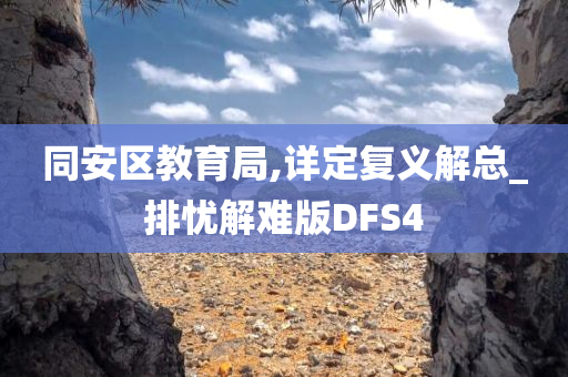 同安区教育局,详定复义解总_排忧解难版DFS4