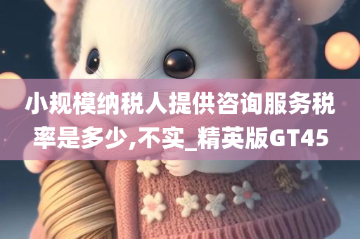 小规模纳税人提供咨询服务税率是多少,不实_精英版GT45