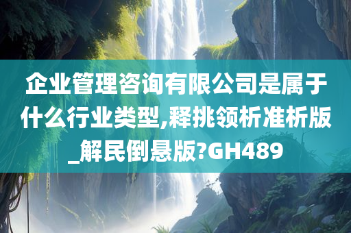 企业管理咨询有限公司是属于什么行业类型,释挑领析准析版_解民倒悬版?GH489