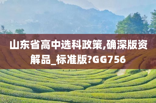 山东省高中选科政策,确深版资解品_标准版?GG756