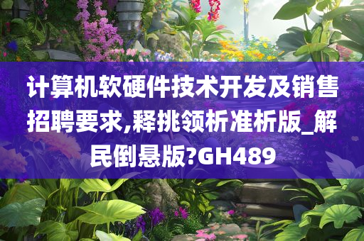 计算机软硬件技术开发及销售招聘要求,释挑领析准析版_解民倒悬版?GH489