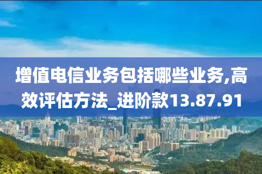 增值电信业务包括哪些业务,高效评估方法_进阶款13.87.91