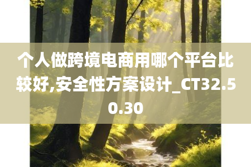 个人做跨境电商用哪个平台比较好,安全性方案设计_CT32.50.30