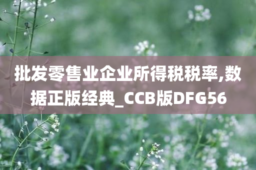 批发零售业企业所得税税率,数据正版经典_CCB版DFG56