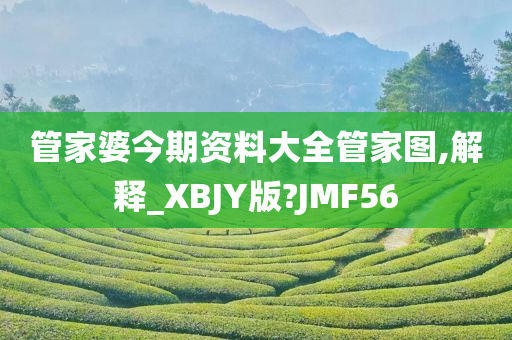 管家婆今期资料大全管家图,解释_XBJY版?JMF56