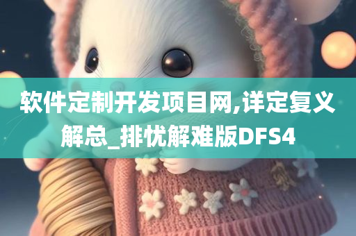 软件定制开发项目网,详定复义解总_排忧解难版DFS4