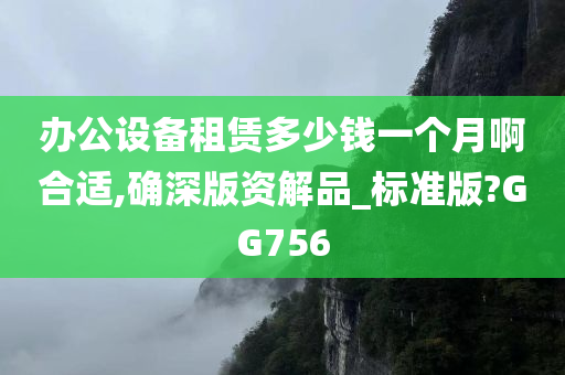 办公设备租赁多少钱一个月啊合适,确深版资解品_标准版?GG756