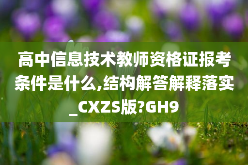 高中信息技术教师资格证报考条件是什么,结构解答解释落实_CXZS版?GH9