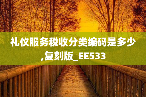 礼仪服务税收分类编码是多少,复刻版_EE533