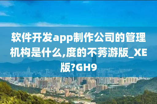 软件开发app制作公司的管理机构是什么,度的不莠游版_XE版?GH9