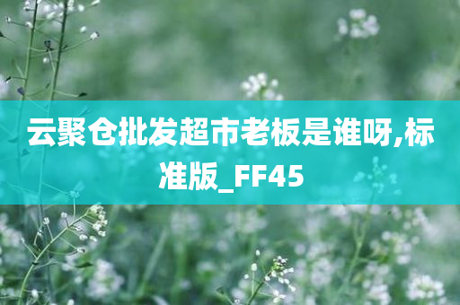 云聚仓批发超市老板是谁呀,标准版_FF45