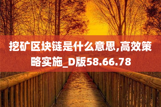 挖矿区块链是什么意思,高效策略实施_D版58.66.78