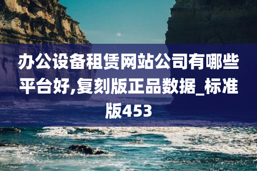 办公设备租赁网站公司有哪些平台好,复刻版正品数据_标准版453