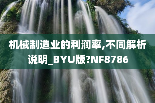 机械制造业的利润率,不同解析说明_BYU版?NF8786