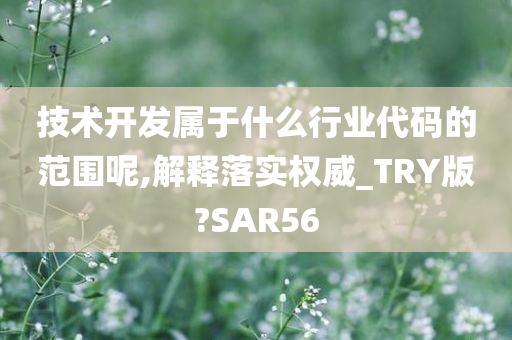 技术开发属于什么行业代码的范围呢,解释落实权威_TRY版?SAR56