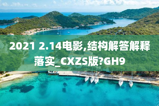 2021 2.14电影,结构解答解释落实_CXZS版?GH9