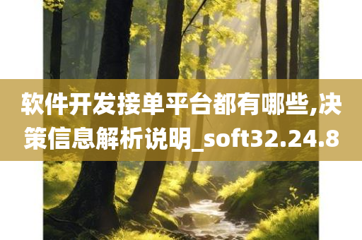 软件开发接单平台都有哪些,决策信息解析说明_soft32.24.80