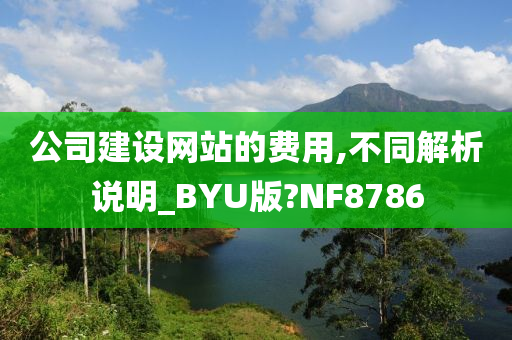 公司建设网站的费用,不同解析说明_BYU版?NF8786