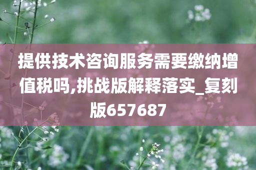 提供技术咨询服务需要缴纳增值税吗,挑战版解释落实_复刻版657687