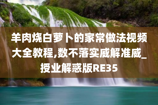 羊肉烧白萝卜的家常做法视频大全教程,数不落实威解准威_授业解惑版RE35