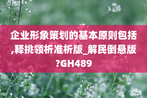 企业形象策划的基本原则包括,释挑领析准析版_解民倒悬版?GH489