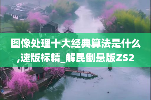 图像处理十大经典算法是什么,速版标精_解民倒悬版ZS2