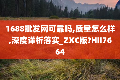 1688批发网可靠吗,质量怎么样,深度详析落实_ZXC版?HII7664