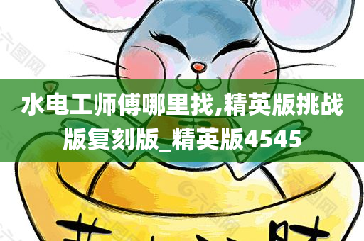 水电工师傅哪里找,精英版挑战版复刻版_精英版4545