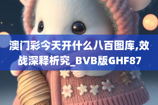 澳门彩今天开什么八百图库,效战深释析究_BVB版GHF87