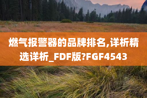 燃气报警器的品牌排名,详析精选详析_FDF版?FGF4543