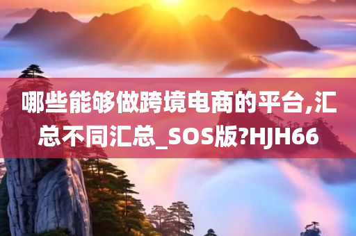 哪些能够做跨境电商的平台,汇总不同汇总_SOS版?HJH66