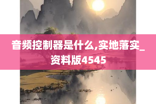 音频控制器是什么,实地落实_资料版4545