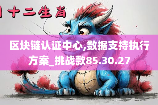 区块链认证中心,数据支持执行方案_挑战款85.30.27