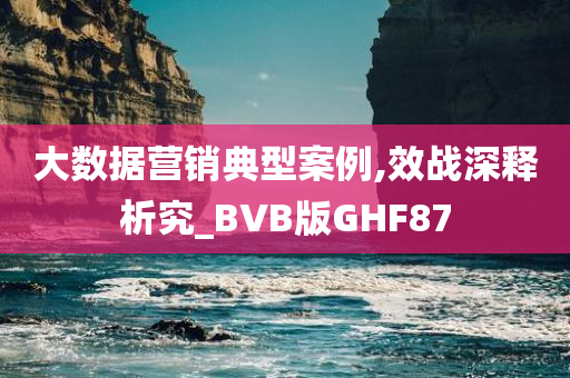 大数据营销典型案例,效战深释析究_BVB版GHF87