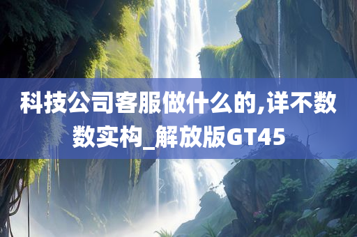 科技公司客服做什么的,详不数数实构_解放版GT45