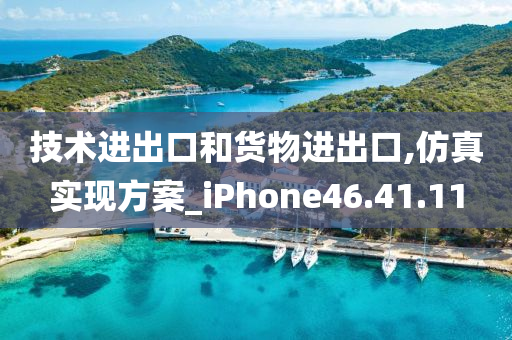 技术进出口和货物进出口,仿真实现方案_iPhone46.41.11