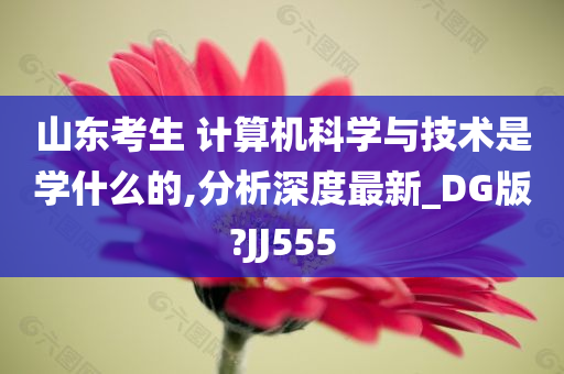 山东考生 计算机科学与技术是学什么的,分析深度最新_DG版?JJ555