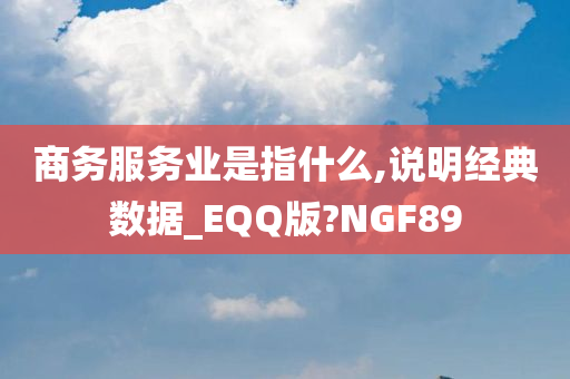 商务服务业是指什么,说明经典数据_EQQ版?NGF89