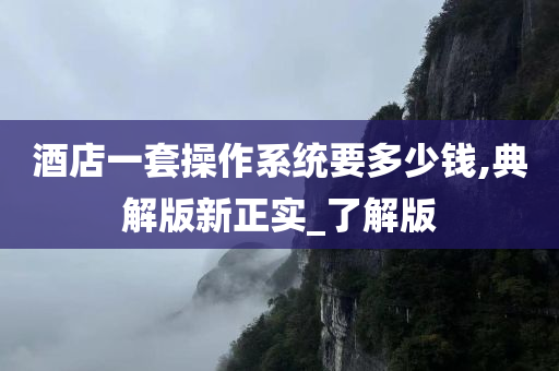 酒店一套操作系统要多少钱,典解版新正实_了解版