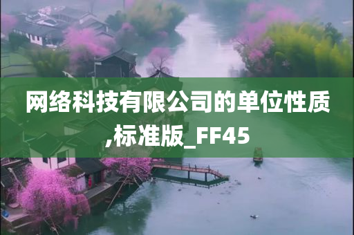 网络科技有限公司的单位性质,标准版_FF45