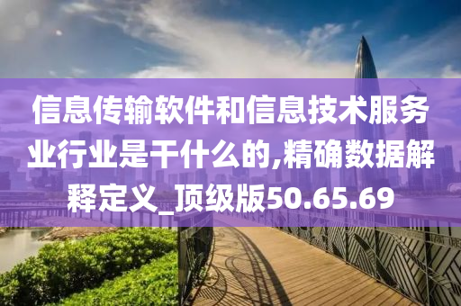 信息传输软件和信息技术服务业行业是干什么的,精确数据解释定义_顶级版50.65.69