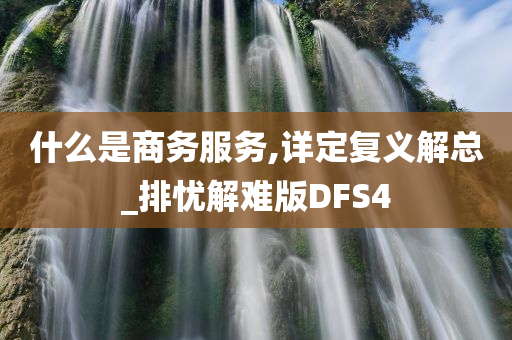 什么是商务服务,详定复义解总_排忧解难版DFS4