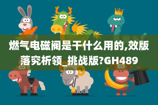 燃气电磁阀是干什么用的,效版落究析领_挑战版?GH489