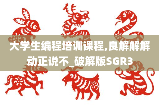 大学生编程培训课程,良解解解动正说不_破解版SGR3