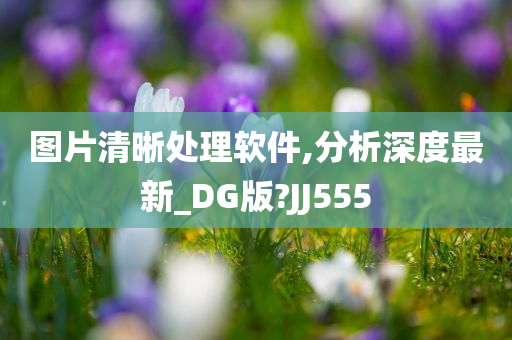 图片清晰处理软件,分析深度最新_DG版?JJ555