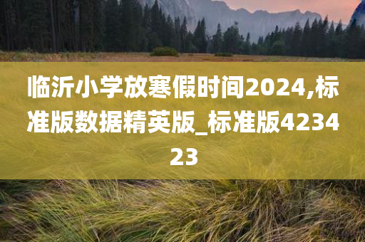 临沂小学放寒假时间2024,标准版数据精英版_标准版423423