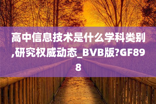 高中信息技术是什么学科类别,研究权威动态_BVB版?GF898