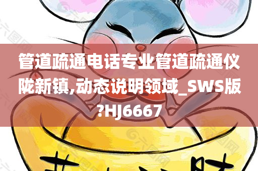 管道疏通电话专业管道疏通仪陇新镇,动态说明领域_SWS版?HJ6667