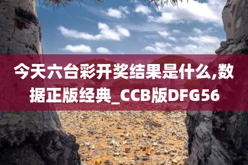 今天六台彩开奖结果是什么,数据正版经典_CCB版DFG56